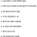 햇살고운카페
