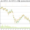(주)셀피글로벌 이미지