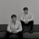 커머스바이브