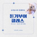 돈기부여 | 도치눈나 세시간전 크리에이터 돈기부여 클래스 강의 추천 후기