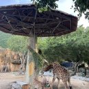 하이카랜드 이미지