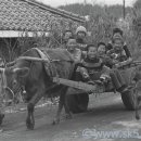 안산시청 이미지