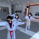 프리미어 스포츠 송정태권도 이미지