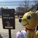 덕수공원반려견놀이터 | 덕수공원 반려견 놀이터 _ QR출입으로 바뀌었어요
