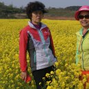 백사장해변 이미지