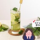 바이주 이미지