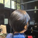 에이치앤헤어 네이버블로그
