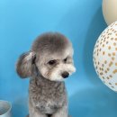 제이앤제이그루밍 이미지