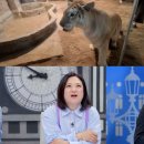 25시비디오 이미지