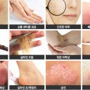 파파포포 이미지