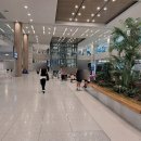 인천공항 제2터미널주차대행 다운주차대행 후기