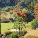 고령카서비스 | 고령오펠GC 코스리뷰 _부부라운딩, 다시 찾고 싶은 이유