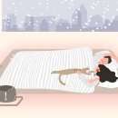 송도 종합 동물병원 이미지