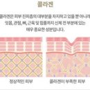kbs아트비전뷰티미용학원 - 창원시 마산회원구 3·15대로 727 | kbs아트비전뷰티미용학원