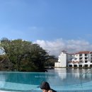 유심천건강랜드수영장 | 제주 에코랜드 호텔 추천 아이랑 수영장 키즈룸 디너