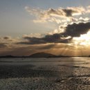 순천만짱둥어마을 이미지