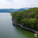 지곡초교 삼거리 이미지