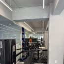 피티투그로우 PT 이미지