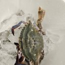 흥진수산 이미지