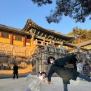 포항농협주유소 화장실 | 경주 아이와 가볼 만한 곳 1박2일 여행코스 숙소 불국사·대릉원·포항 오딘까지25.12.6~7