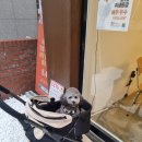 비바첼 키친 이미지