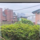 더카페블룸