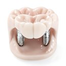 진리치과의원 이미지