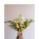 H2370 이미지