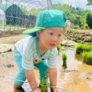 광탄어린이집 이미지