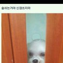 그르릉 이미지