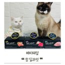참 | 『 페피테일 』 참 딜라잇 후기