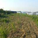 예진농장 이미지