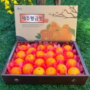 백록담제주특산품