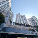 당리동-18 | 부산 당리푸르지오 방충망 교체 후기, 저층 벚꽃 뷰를 살리는 미세방충망의 힘!