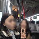 유럽여행 1 : 네덜란드(암스테르담) 골목대장 하기