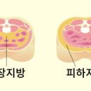 15.남성사거리 이미지