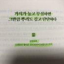 산천대축