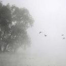 남하대야리 이미지