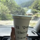 꽃티지 이미지