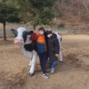 즐거운 무예스쿨 이미지