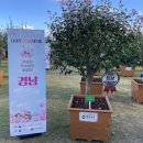 무궁화경남 이미지