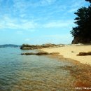 뜰아래솔바다 이미지