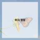 당신의네일 이미지