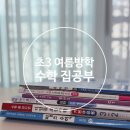 읽기로 생각다지기(초3) | 초등 방학 공부루틴 - 초3 수학 집공부 기록