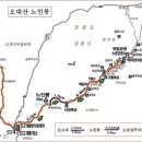 제208회 진고개 노인봉(1338M)소금강 등반안내 이미지