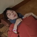 술마실고양 이미지