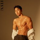 네이브핏 이미지