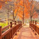 옥성자연휴양림 이미지