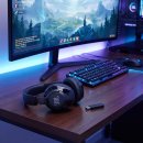 350 | JBL Quantum 350 내돈내산 후기, 단점부터 확인해야 후회 없어요