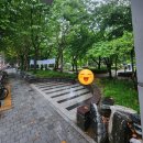 오복순대 | 문래동 풍자 또간집 오복 순대국 내돈내산후기